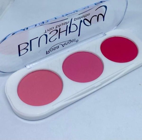 LIFE STYLE HUB™ 3 Color Makeup Blush Palette